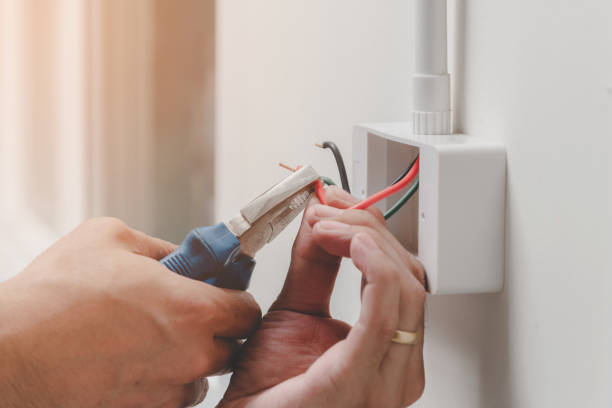 Best Electrical Maintenance Services  in Columbus, TX